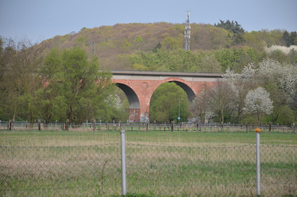 2014 04 06_Vogelsberg_0333