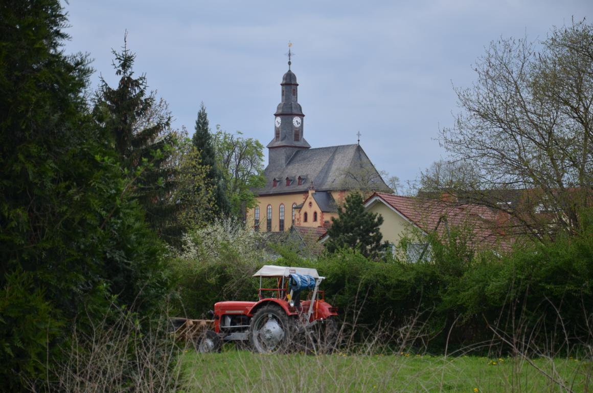 2014 04 06_Vogelsberg_0334